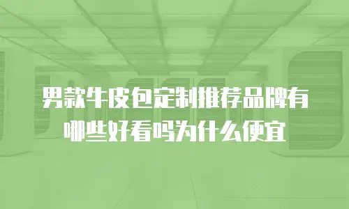 男款牛皮包定制推荐品牌有哪些好看吗为什么便宜