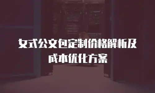 女式公文包定制价格解析及成本优化方案