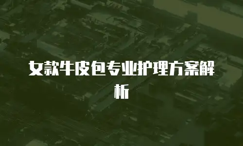 女款牛皮包专业护理方案解析