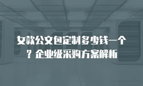 女款公文包定制多少钱一个？企业级采购方案解析