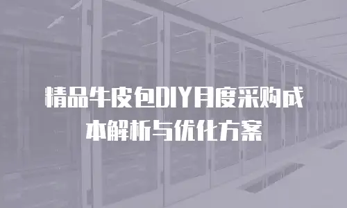 精品牛皮包DIY月度采购成本解析与优化方案