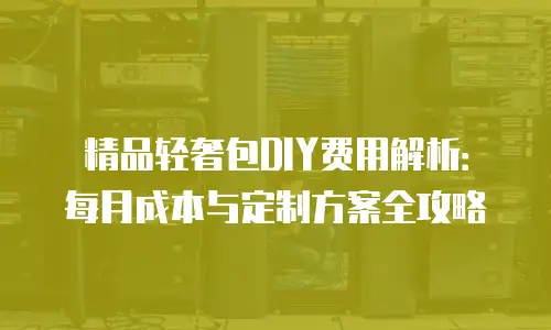 精品轻奢包DIY费用解析：每月成本与定制方案全攻略