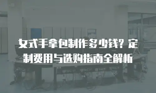女式手拿包制作多少钱？定制费用与选购指南全解析