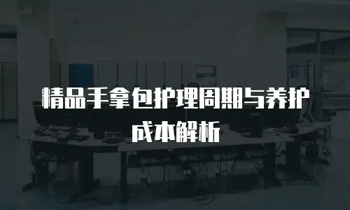精品手拿包护理周期与养护成本解析