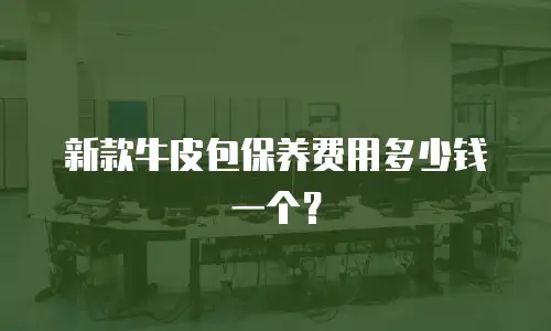 新款牛皮包保养费用多少钱一个？