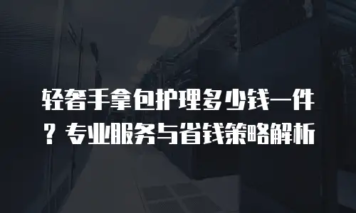 轻奢手拿包护理多少钱一件？专业服务与省钱策略解析