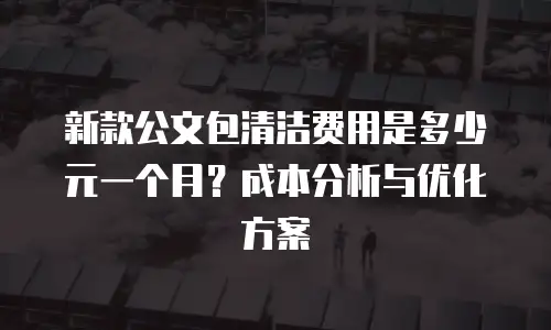 新款公文包清洁费用是多少元一个月？成本分析与优化方案