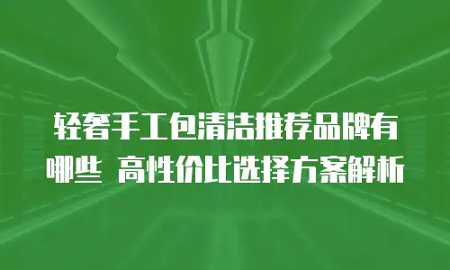 轻奢手工包清洁推荐品牌有哪些 高性价比选择方案解析