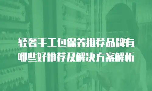 轻奢手工包保养推荐品牌有哪些好推荐及解决方案解析