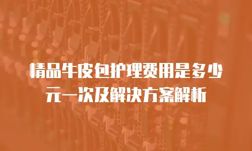 精品牛皮包护理费用是多少元一次及解决方案解析
