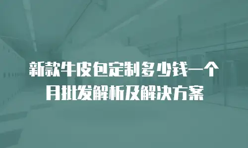 新款牛皮包定制多少钱一个月批发解析及解决方案