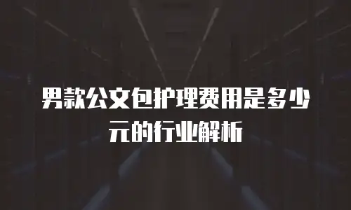 男款公文包护理费用是多少元的行业解析