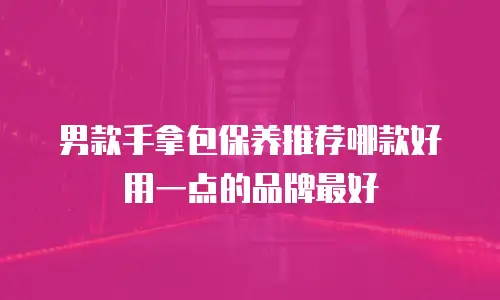 男款手拿包保养推荐哪款好用一点的品牌最好