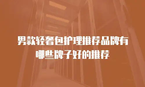 男款轻奢包护理推荐品牌有哪些牌子好的推荐