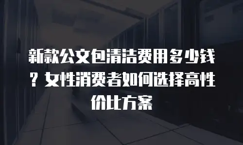 新款公文包清洁费用多少钱？女性消费者如何选择高性价比方案
