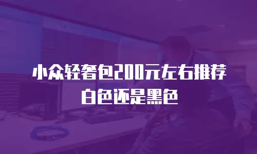 小众轻奢包200元左右推荐白色还是黑色