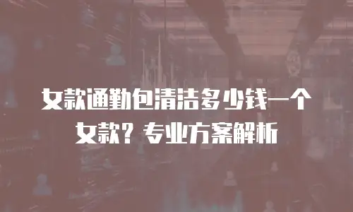 女款通勤包清洁多少钱一个女款？专业方案解析