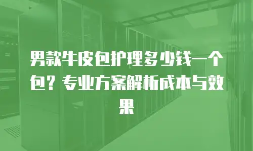 男款牛皮包护理多少钱一个包？专业方案解析成本与效果