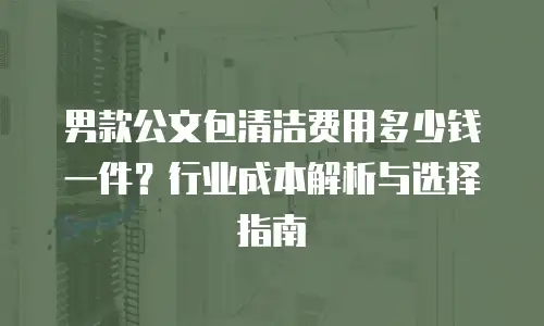 男款公文包清洁费用多少钱一件？行业成本解析与选择指南