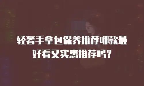 轻奢手拿包保养推荐哪款最好看又实惠推荐吗？
