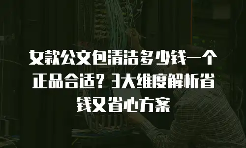 女款公文包清洁多少钱一个正品合适？3大维度解析省钱又省心方案