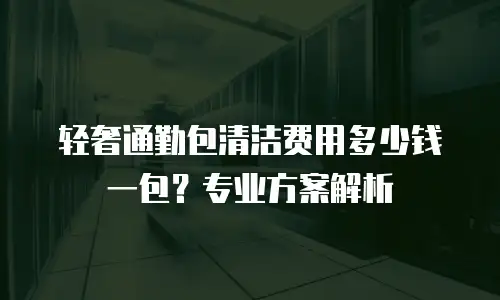 轻奢通勤包清洁费用多少钱一包？专业方案解析