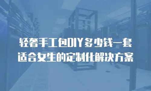 轻奢手工包DIY多少钱一套 适合女生的定制化解决方案