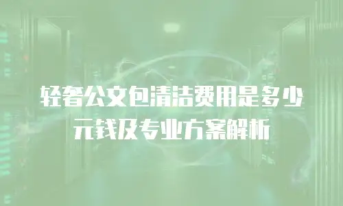 轻奢公文包清洁费用是多少元钱及专业方案解析