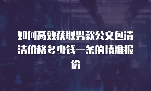 如何高效获取男款公文包清洁价格多少钱一条的精准报价