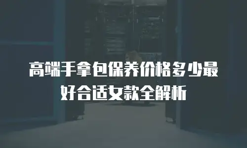 高端手拿包保养价格多少最好合适女款全解析