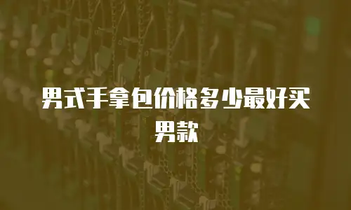 男式手拿包价格多少最好买男款
