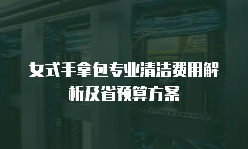 女式手拿包专业清洁费用解析及省预算方案