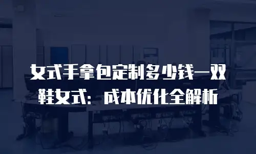 女式手拿包定制多少钱一双鞋女式：成本优化全解析