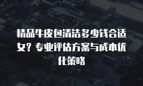精品牛皮包清洁多少钱合适女？专业评估方案与成本优化策略
