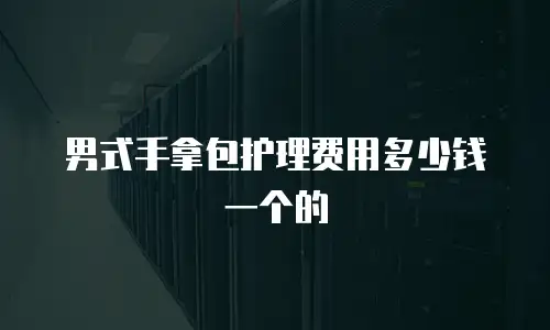 男式手拿包护理费用多少钱一个的