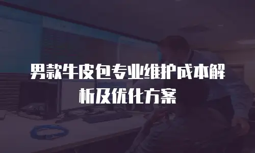 男款牛皮包专业维护成本解析及优化方案