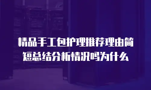 精品手工包护理推荐理由简短总结分析情况吗为什么