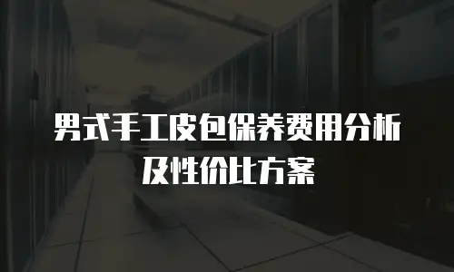 男式手工皮包保养费用分析及性价比方案