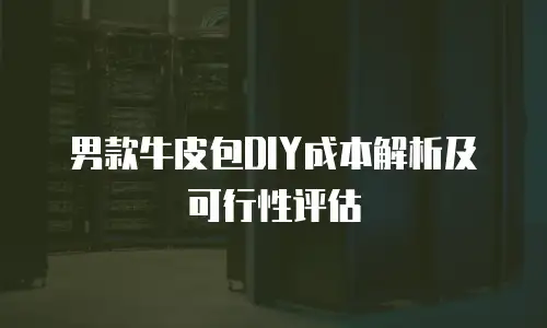 男款牛皮包DIY成本解析及可行性评估