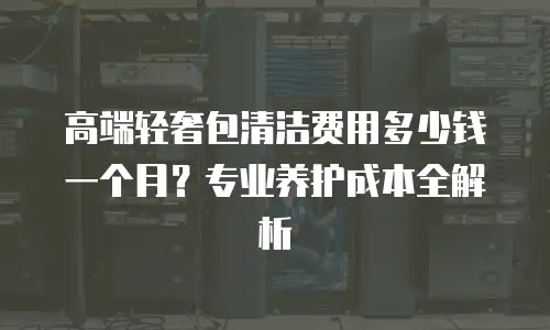 高端轻奢包清洁费用多少钱一个月？专业养护成本全解析