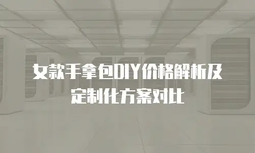 女款手拿包DIY价格解析及定制化方案对比