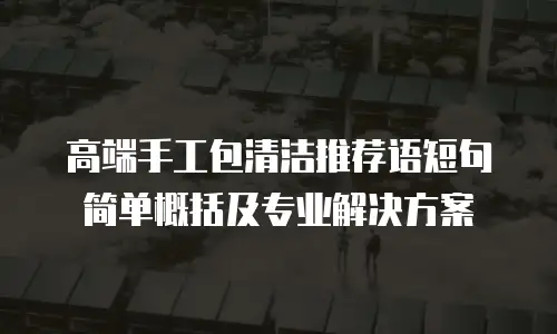 高端手工包清洁推荐语短句简单概括及专业解决方案