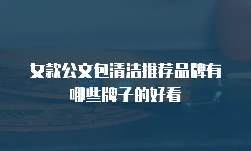 女款公文包清洁推荐品牌有哪些牌子的好看
