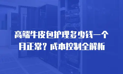 高端牛皮包护理多少钱一个月正常？成本控制全解析