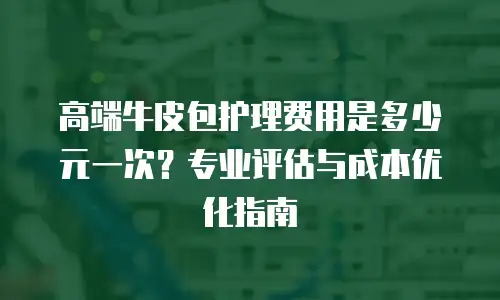 高端牛皮包护理费用是多少元一次？专业评估与成本优化指南