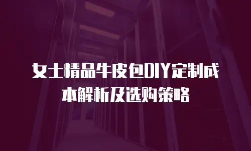 女士精品牛皮包DIY定制成本解析及选购策略