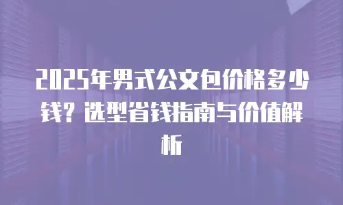 2025年男式公文包价格多少钱？选型省钱指南与价值解析