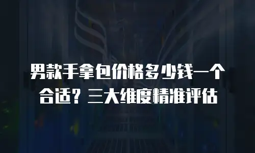 男款手拿包价格多少钱一个合适？三大维度精准评估