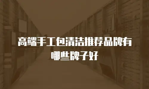 高端手工包清洁推荐品牌有哪些牌子好