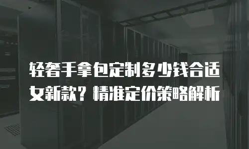 轻奢手拿包定制多少钱合适女新款？精准定价策略解析